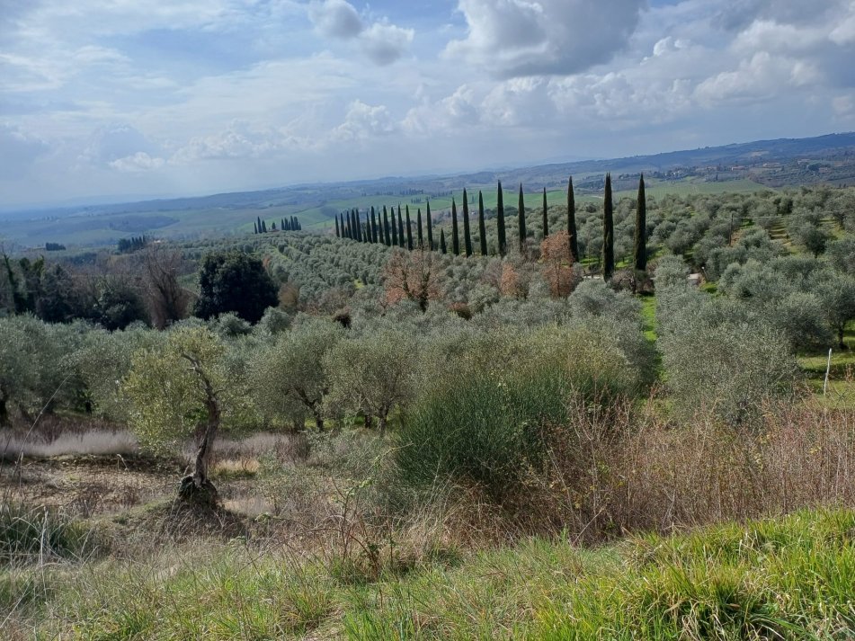 WhatsApp Image 2026-03-08 at 21.27.14