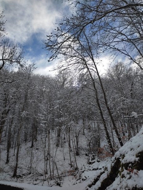 Groupe 2 - WhatsApp Image 2026-03-15 at 14.21.08