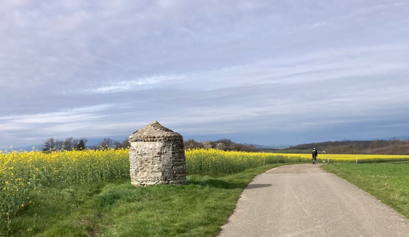 Philippe Rouchier 003