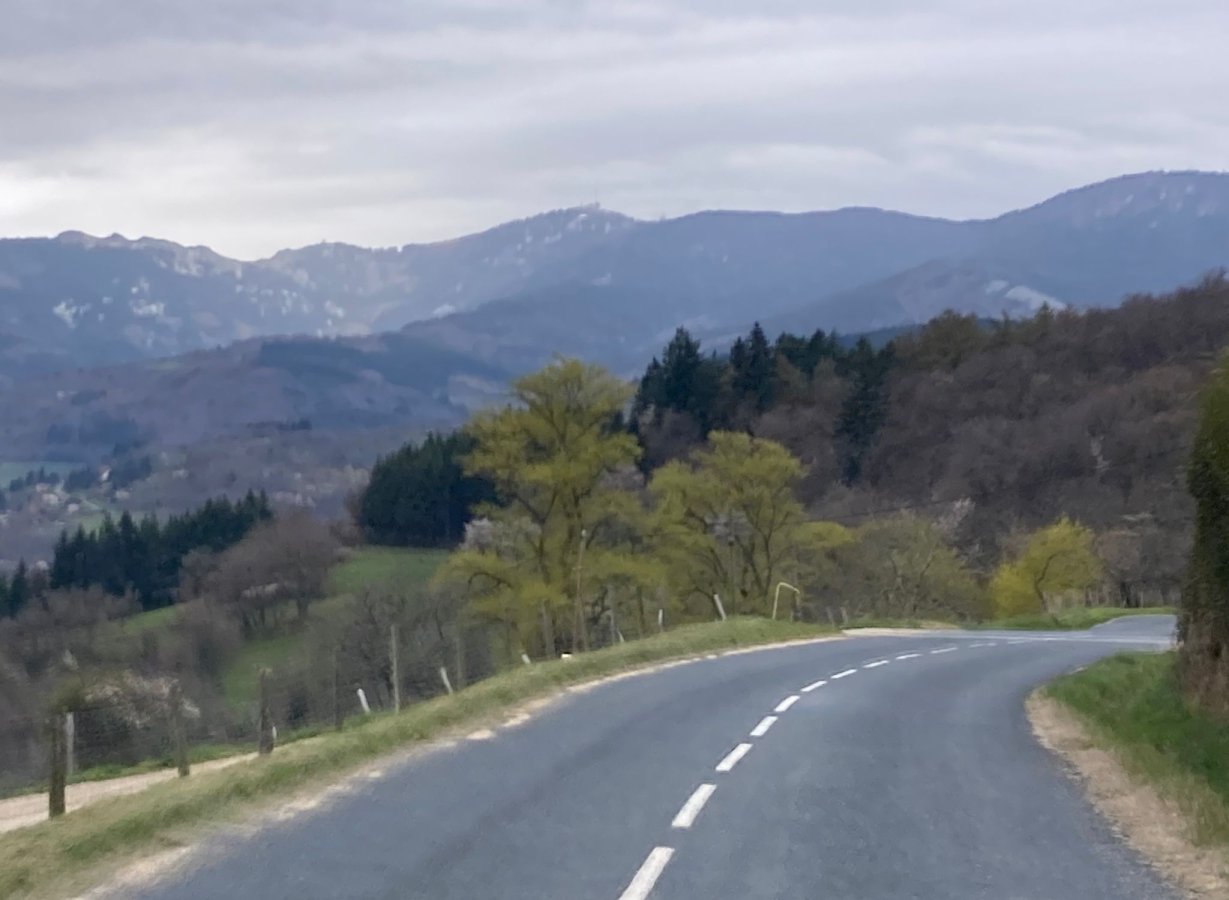 Philippe Rouchier 031