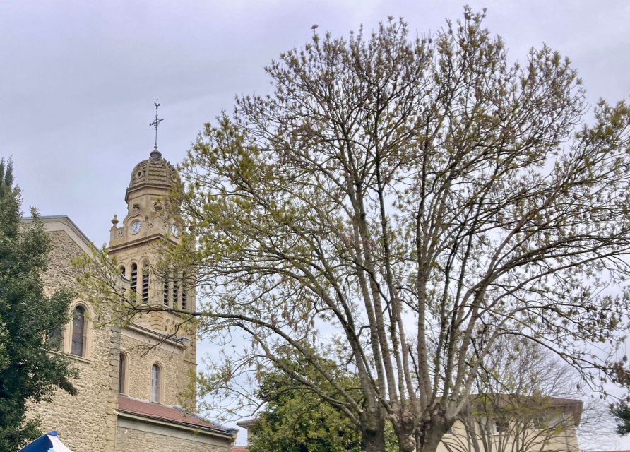 Philippe Rouchier 033