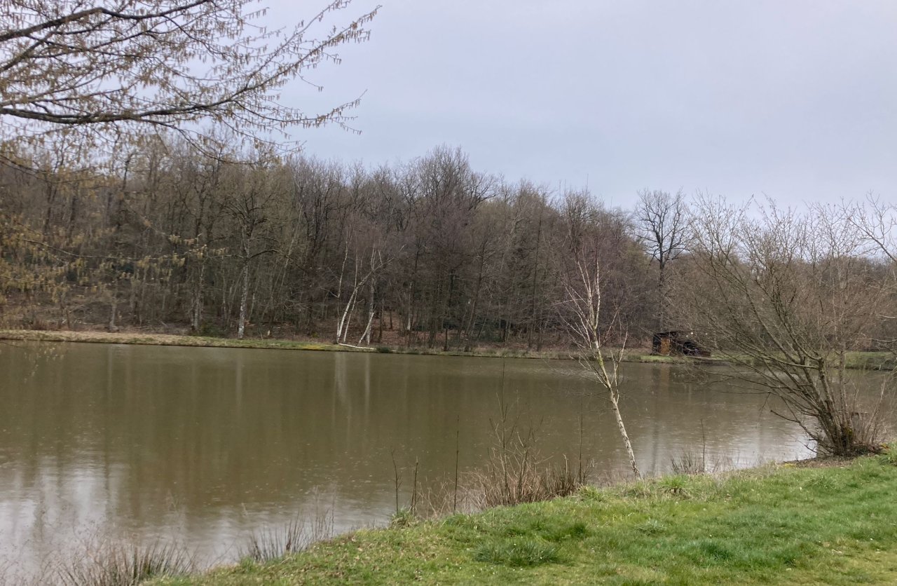 Philippe Rouchier 041