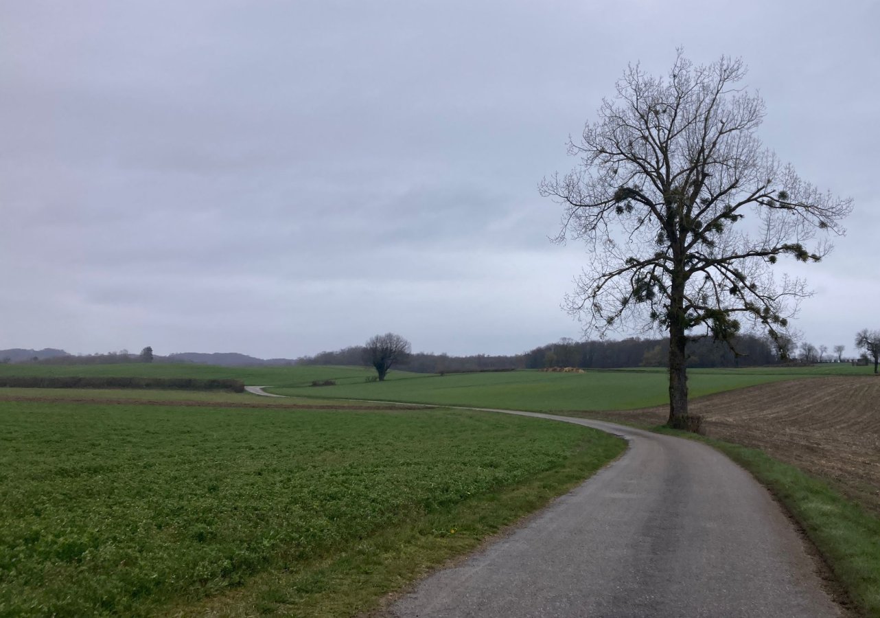 Philippe Rouchier 042