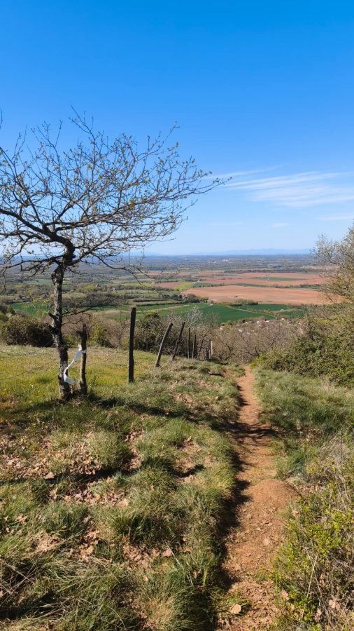 Pas moins de 4 sorties de groupes organisées ce week-end au VCIDA